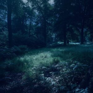 015 - Mondlicht