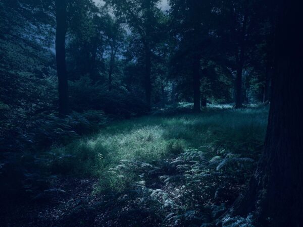 015 - Mondlicht