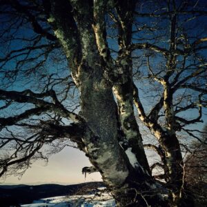 026 - Schauinsland