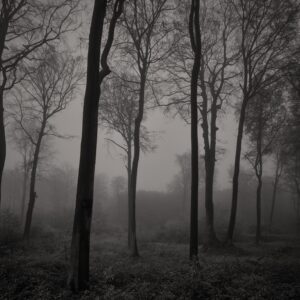 027 - Usedom