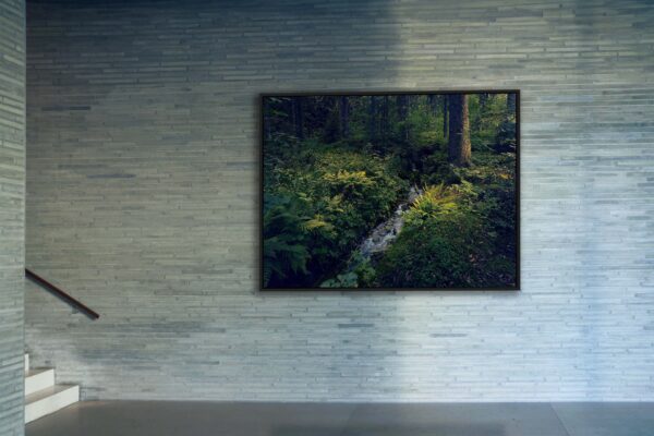 005 - Langenbach – Bild 2