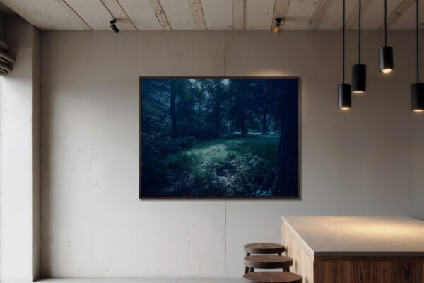 015 - Mondlicht – Bild 2