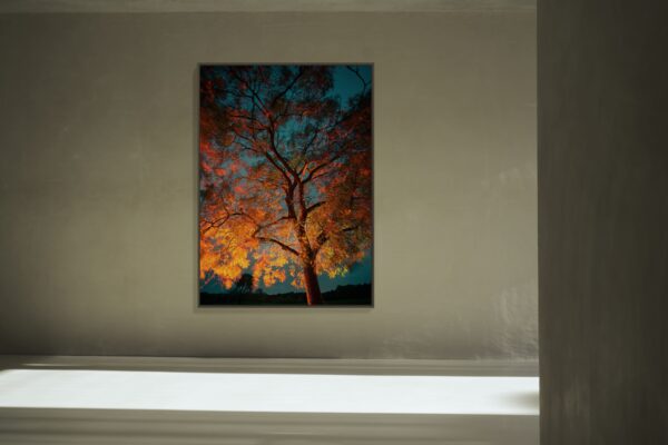 020 - FoBo – Bild 2